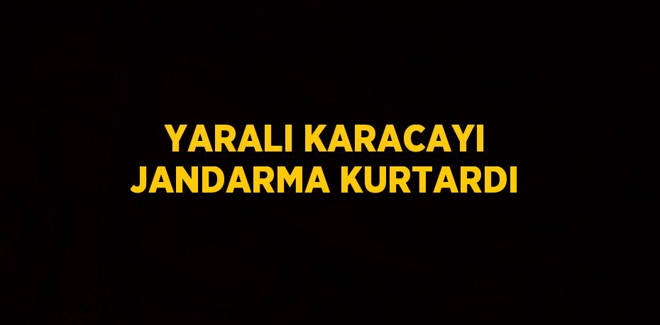 YARALI KARACAYI JANDARMA KURTARDI