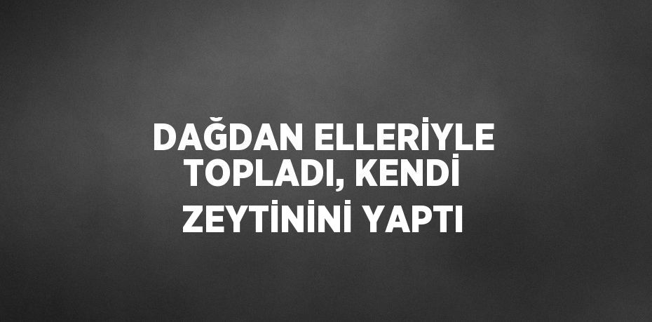 DAĞDAN ELLERİYLE TOPLADI, KENDİ ZEYTİNİNİ YAPTI