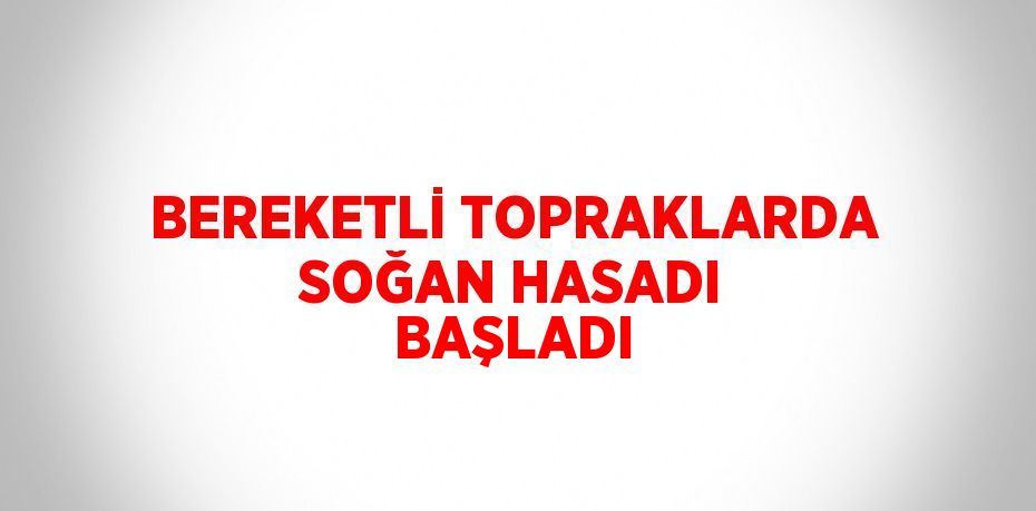 BEREKETLİ TOPRAKLARDA SOĞAN HASADI BAŞLADI