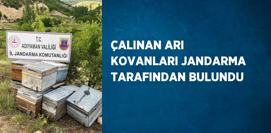 ÇALINAN ARI KOVANLARI JANDARMA TARAFINDAN BULUNDU