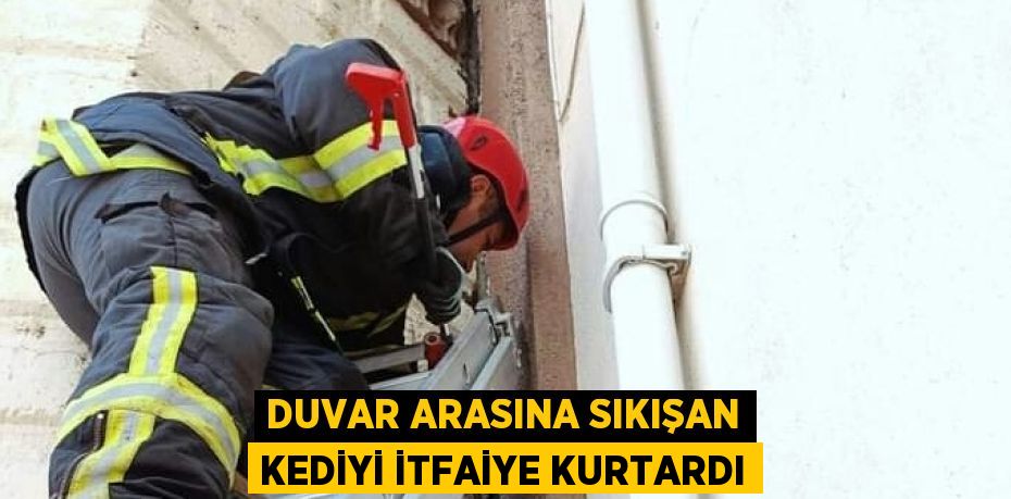 DUVAR ARASINA SIKIŞAN KEDİYİ İTFAİYE KURTARDI