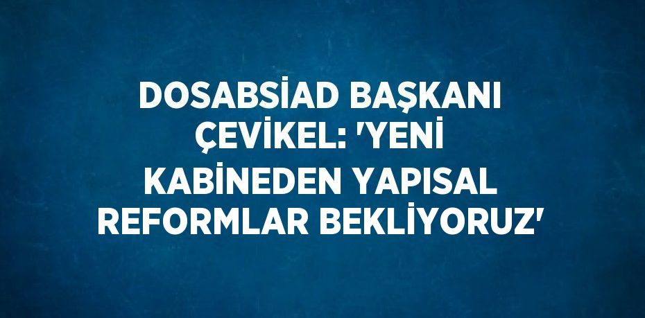 DOSABSİAD BAŞKANI ÇEVİKEL: 'YENİ KABİNEDEN YAPISAL REFORMLAR BEKLİYORUZ'