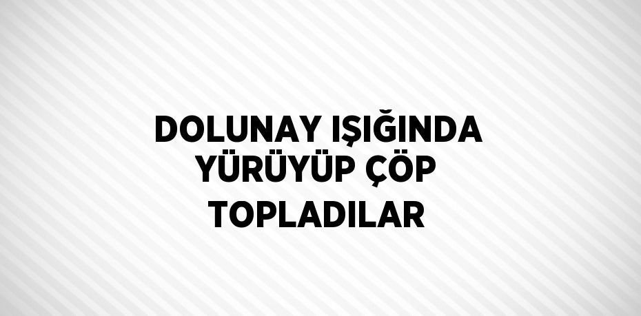 DOLUNAY IŞIĞINDA YÜRÜYÜP ÇÖP TOPLADILAR