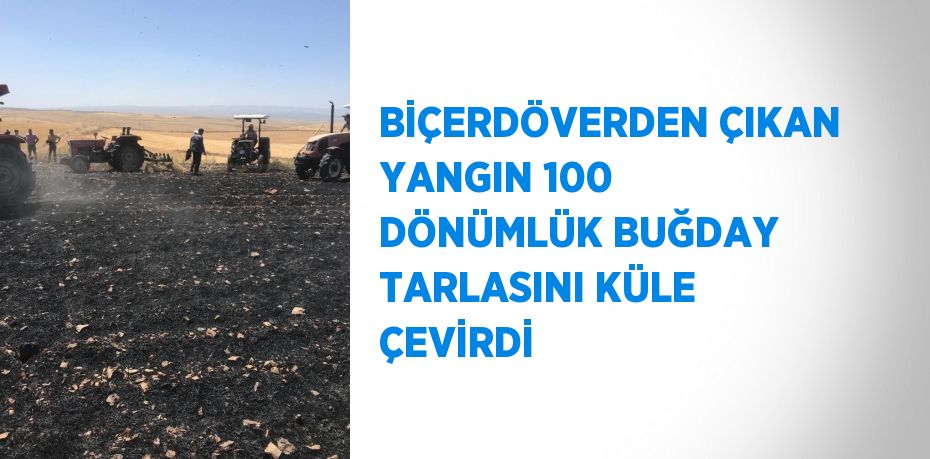 BİÇERDÖVERDEN ÇIKAN YANGIN 100 DÖNÜMLÜK BUĞDAY TARLASINI KÜLE ÇEVİRDİ