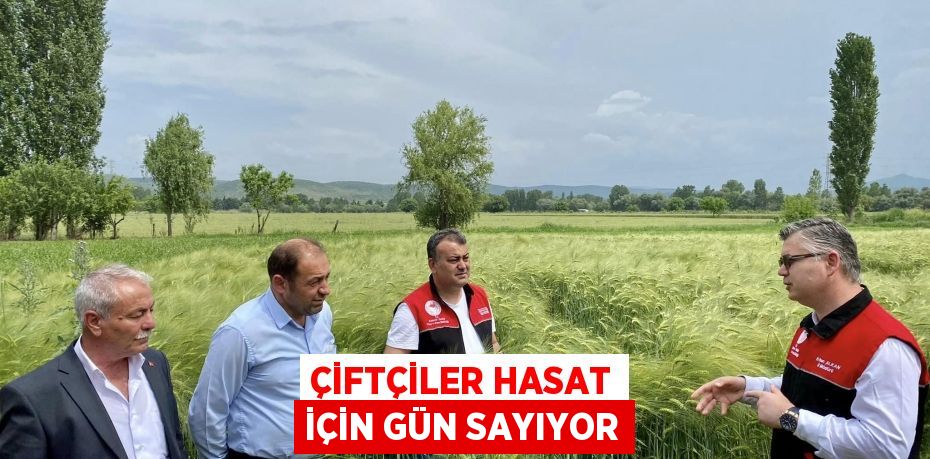 Çiftçiler hasat için gün sayıyor