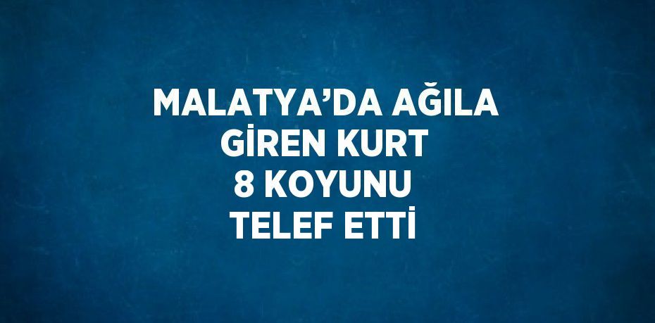 MALATYA’DA AĞILA GİREN KURT 8 KOYUNU TELEF ETTİ