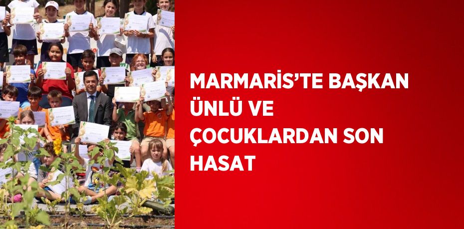 MARMARİS’TE BAŞKAN ÜNLÜ VE ÇOCUKLARDAN SON HASAT