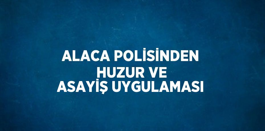 ALACA POLİSİNDEN HUZUR VE ASAYİŞ UYGULAMASI