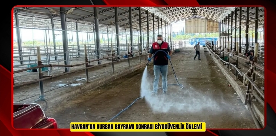 Havran’da kurban bayramı sonrası biyogüvenlik önlemi  