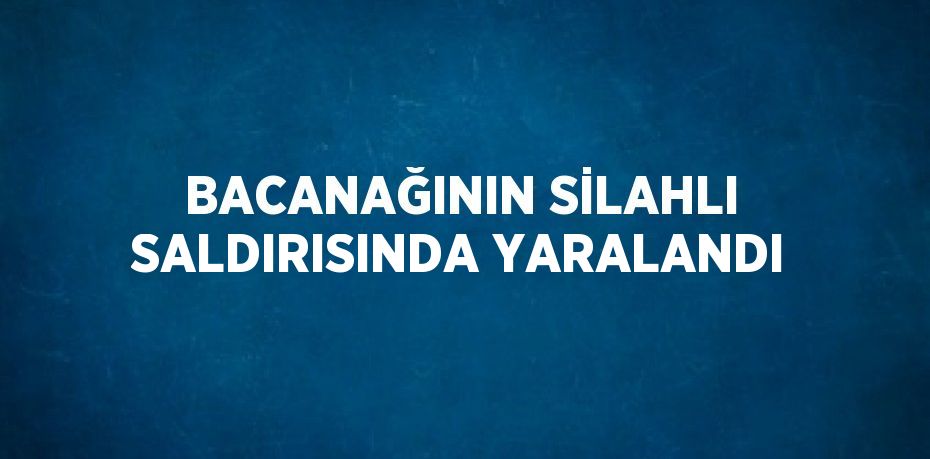 BACANAĞININ SİLAHLI SALDIRISINDA YARALANDI