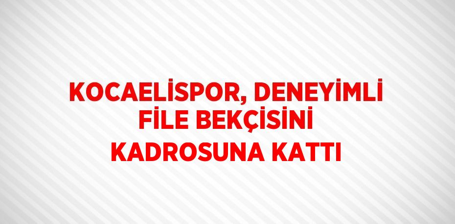 KOCAELİSPOR, DENEYİMLİ FİLE BEKÇİSİNİ KADROSUNA KATTI