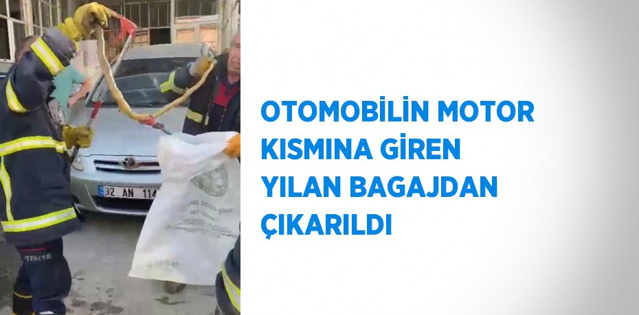 OTOMOBİLİN MOTOR KISMINA GİREN YILAN BAGAJDAN ÇIKARILDI