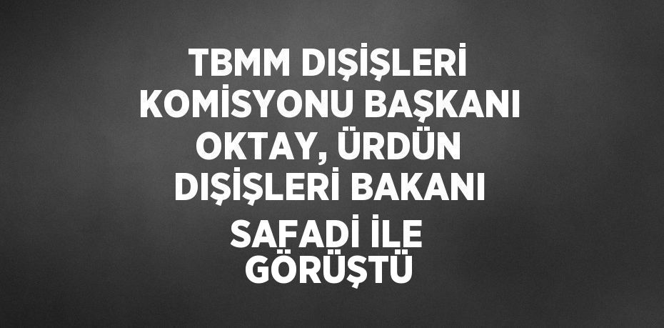 TBMM DIŞİŞLERİ KOMİSYONU BAŞKANI OKTAY, ÜRDÜN DIŞİŞLERİ BAKANI SAFADİ İLE GÖRÜŞTÜ