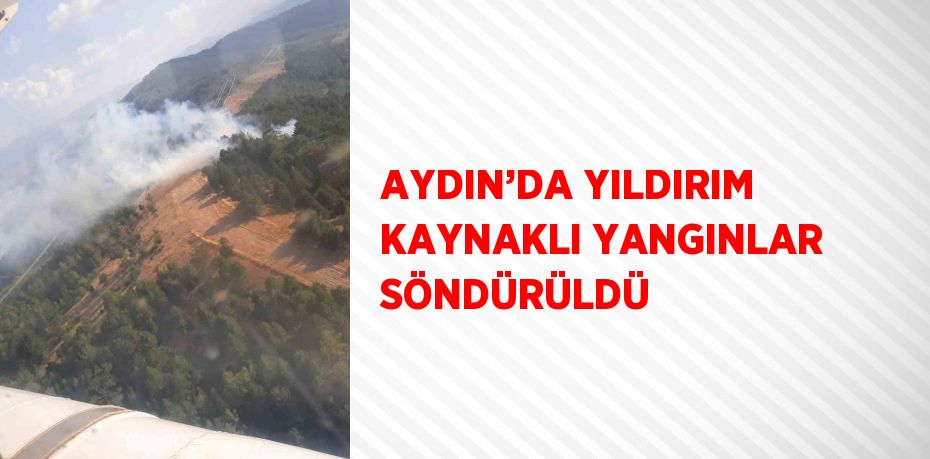 AYDIN’DA YILDIRIM KAYNAKLI YANGINLAR SÖNDÜRÜLDÜ