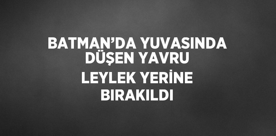 BATMAN’DA YUVASINDA DÜŞEN YAVRU LEYLEK YERİNE BIRAKILDI