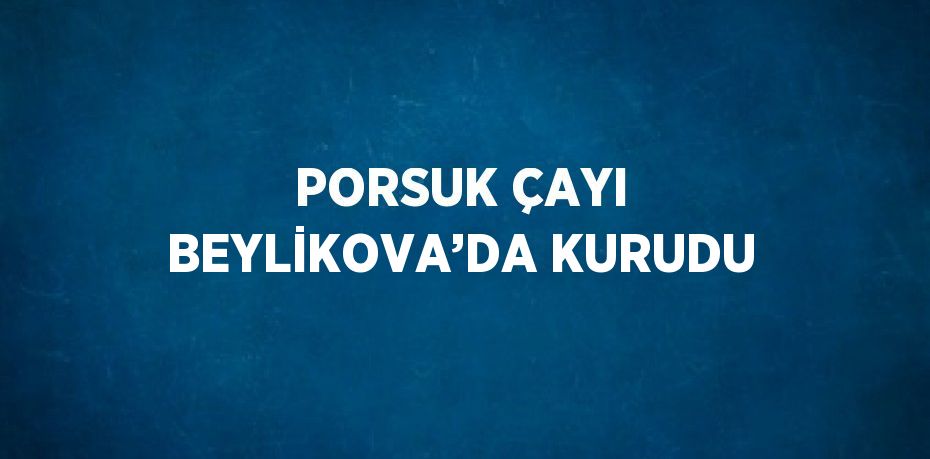 PORSUK ÇAYI BEYLİKOVA’DA KURUDU