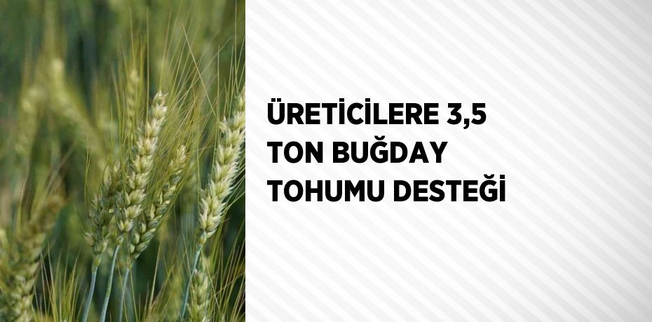 ÜRETİCİLERE 3,5 TON BUĞDAY TOHUMU DESTEĞİ