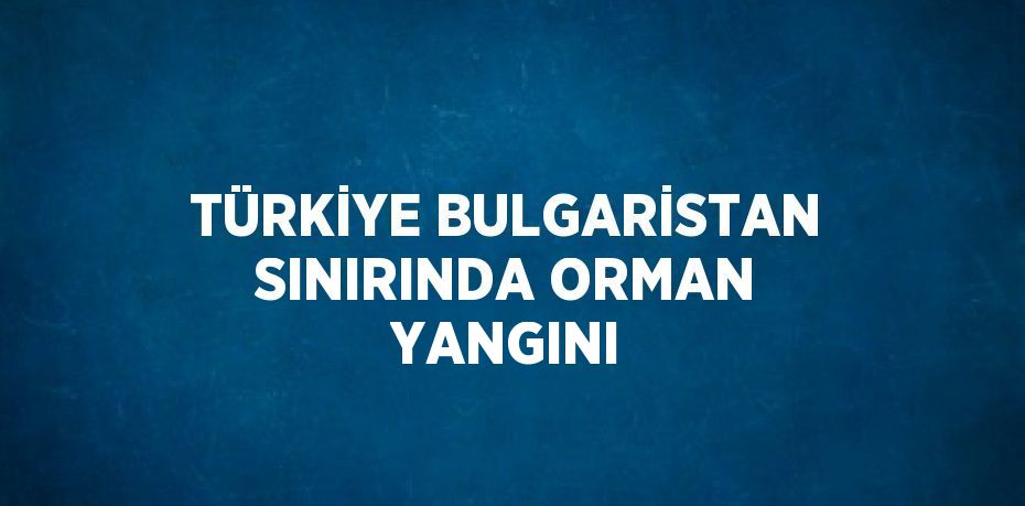 TÜRKİYE BULGARİSTAN SINIRINDA ORMAN YANGINI