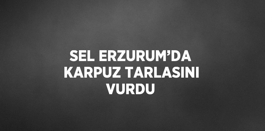 SEL ERZURUM’DA KARPUZ TARLASINI VURDU