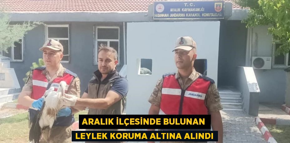 ARALIK İLÇESİNDE BULUNAN LEYLEK KORUMA ALTINA ALINDI