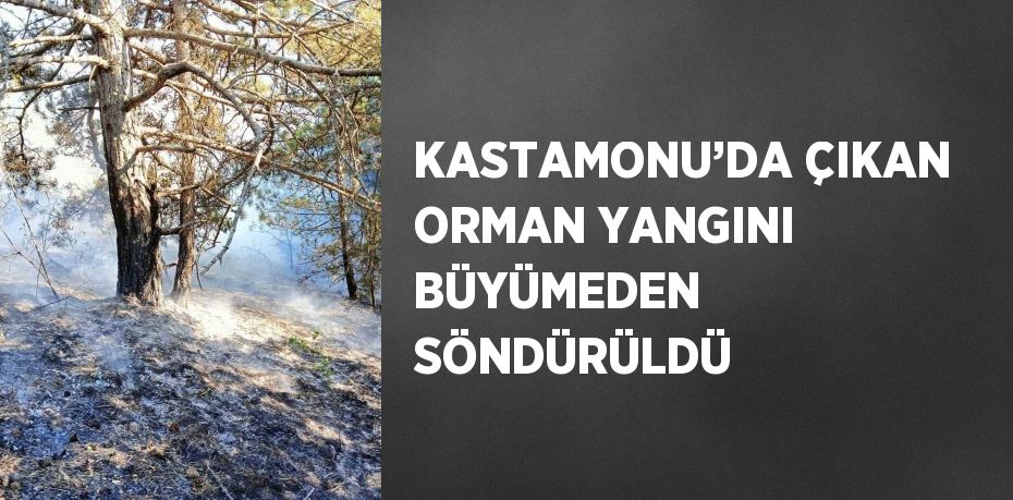 KASTAMONU’DA ÇIKAN ORMAN YANGINI BÜYÜMEDEN SÖNDÜRÜLDÜ