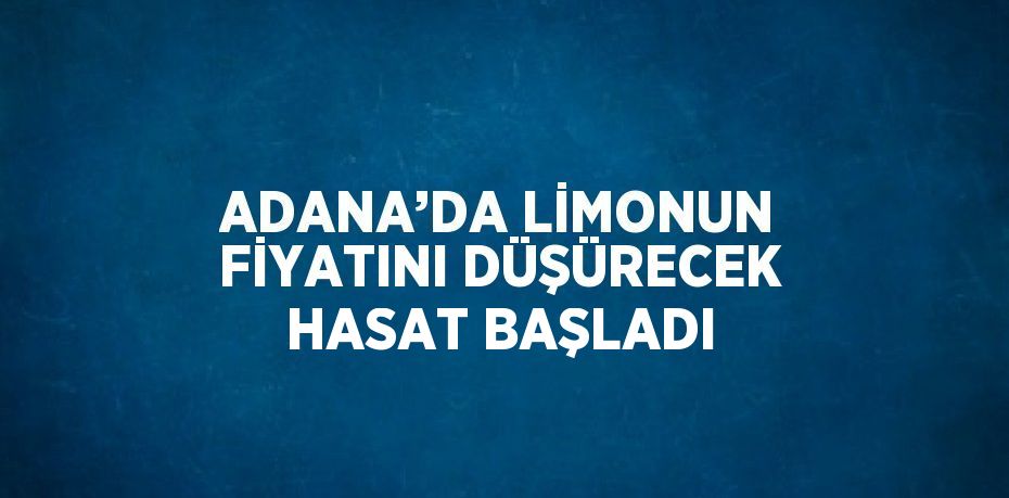 ADANA’DA LİMONUN FİYATINI DÜŞÜRECEK HASAT BAŞLADI