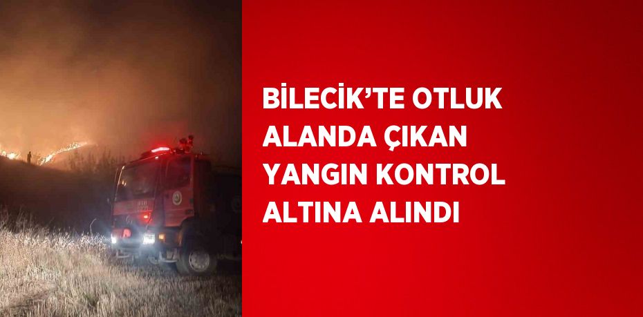 BİLECİK’TE OTLUK ALANDA ÇIKAN YANGIN KONTROL ALTINA ALINDI