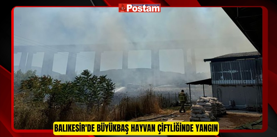 Balıkesir'de büyükbaş hayvan çiftliğinde yangın