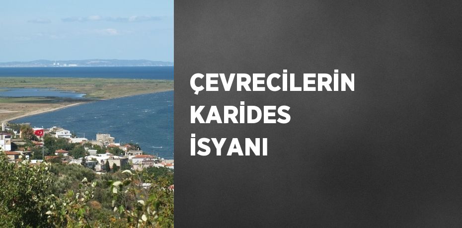 ÇEVRECİLERİN KARİDES İSYANI