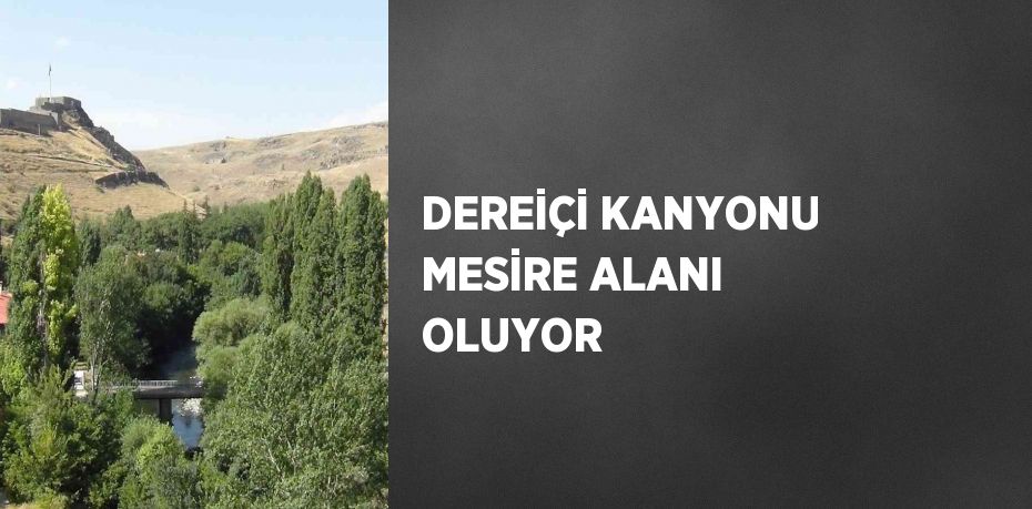 DEREİÇİ KANYONU MESİRE ALANI OLUYOR