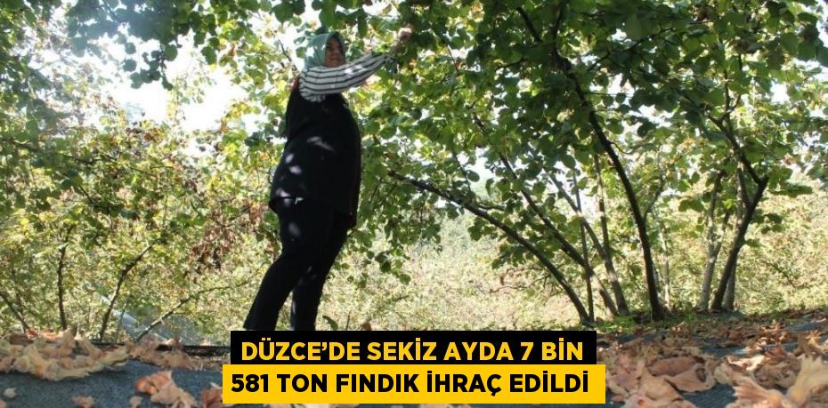 DÜZCE’DE SEKİZ AYDA 7 BİN 581 TON FINDIK İHRAÇ EDİLDİ