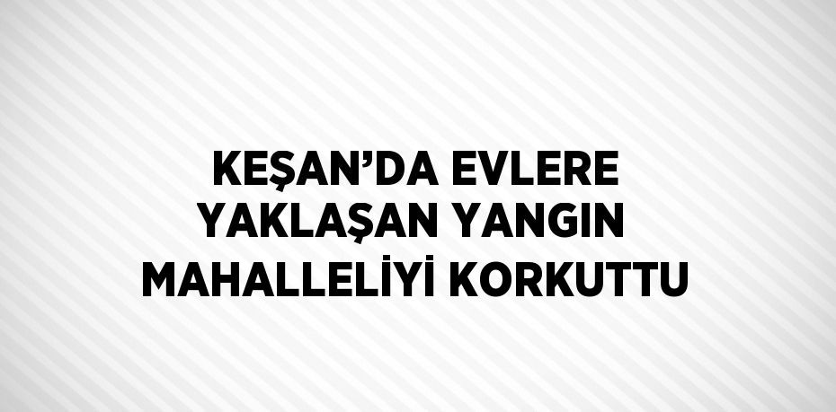 KEŞAN’DA EVLERE YAKLAŞAN YANGIN MAHALLELİYİ KORKUTTU