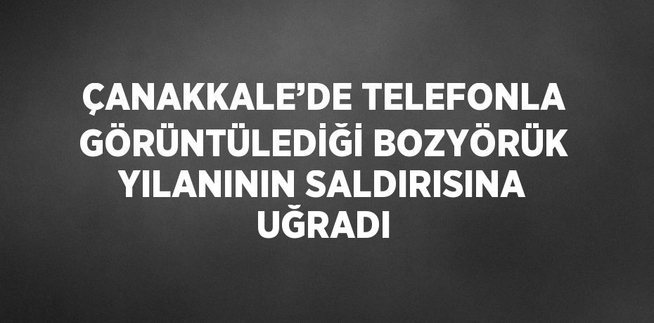 ÇANAKKALE’DE TELEFONLA GÖRÜNTÜLEDİĞİ BOZYÖRÜK YILANININ SALDIRISINA UĞRADI