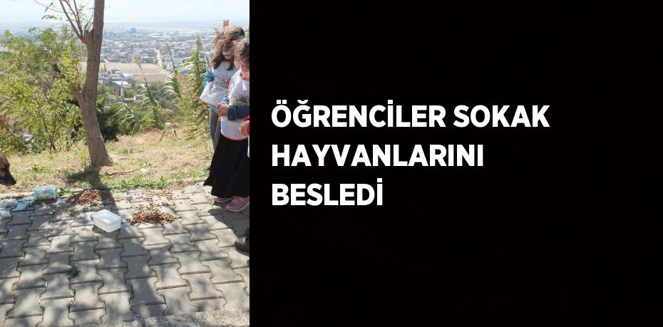 ÖĞRENCİLER SOKAK HAYVANLARINI BESLEDİ