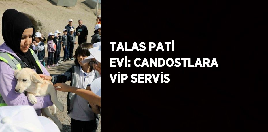 TALAS PATİ EVİ: CANDOSTLARA VİP SERVİS