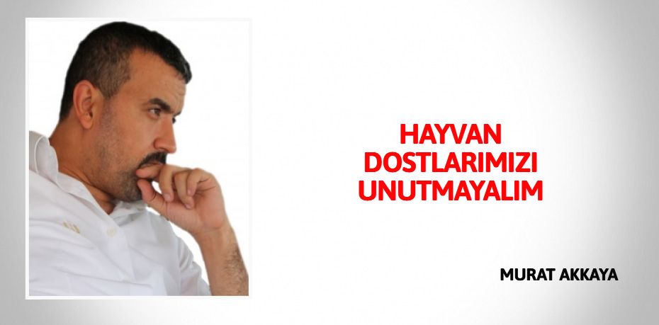 HAYVAN DOSTLARIMIZI UNUTMAYALIM