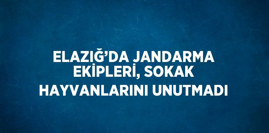 ELAZIĞ’DA JANDARMA EKİPLERİ, SOKAK HAYVANLARINI UNUTMADI