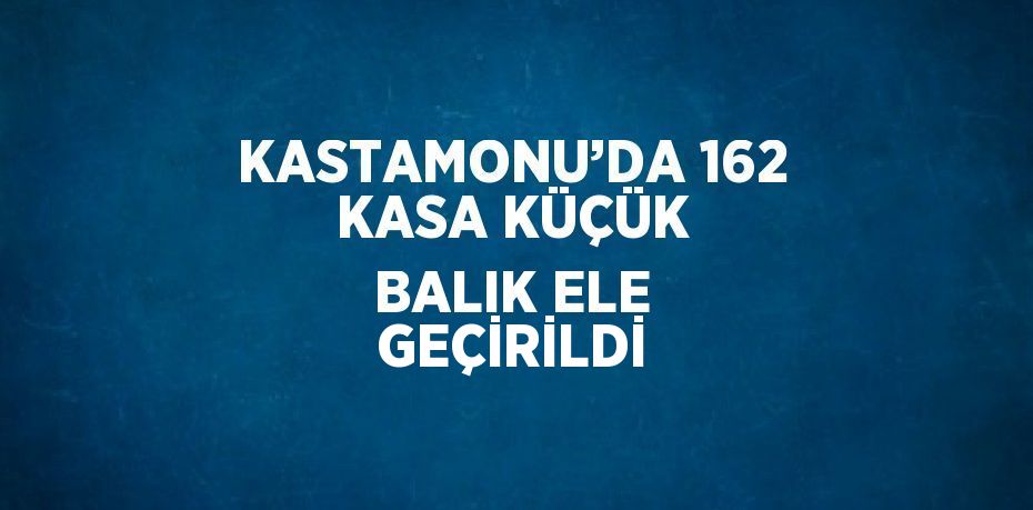 KASTAMONU’DA 162 KASA KÜÇÜK BALIK ELE GEÇİRİLDİ