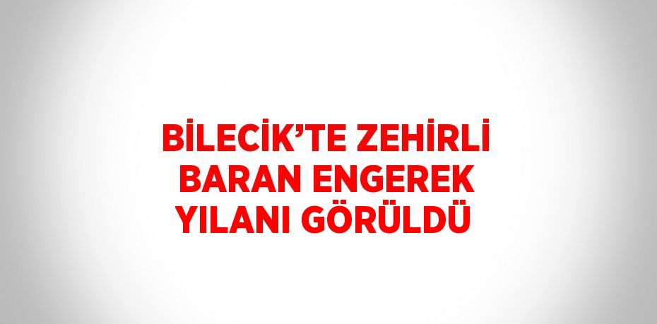 BİLECİK’TE ZEHİRLİ BARAN ENGEREK YILANI GÖRÜLDÜ