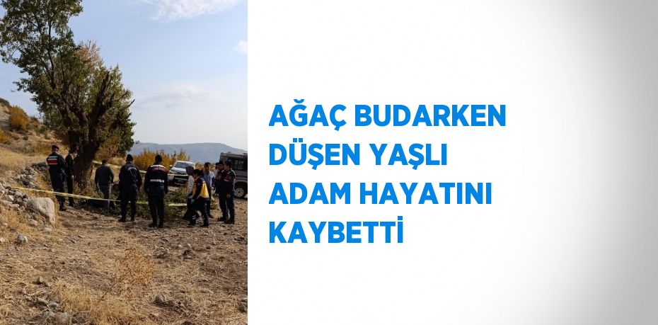 AĞAÇ BUDARKEN DÜŞEN YAŞLI ADAM HAYATINI KAYBETTİ