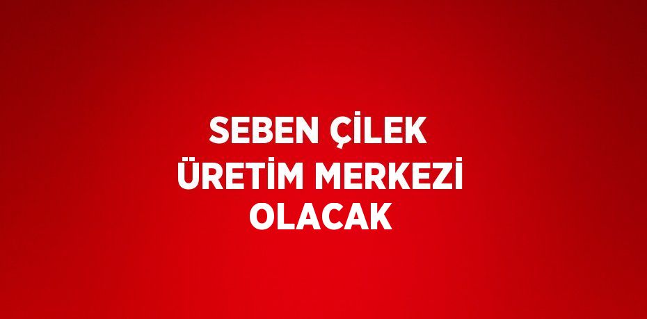 SEBEN ÇİLEK ÜRETİM MERKEZİ OLACAK