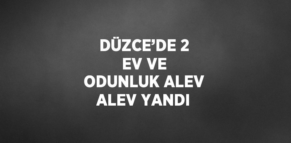 DÜZCE’DE 2 EV VE ODUNLUK ALEV ALEV YANDI