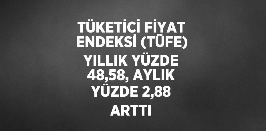 TÜKETİCİ FİYAT ENDEKSİ (TÜFE) YILLIK YÜZDE 48,58, AYLIK YÜZDE 2,88 ARTTI