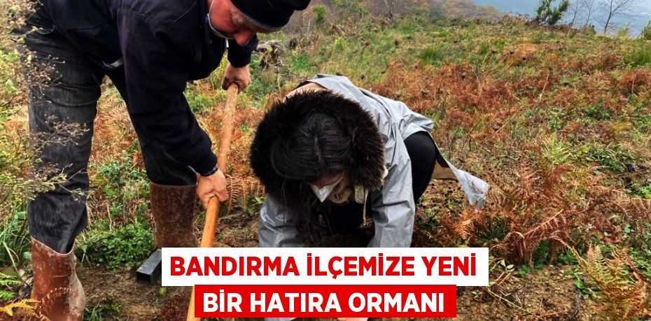 Bandırma İlçemize Yeni Bir Hatıra Ormanı