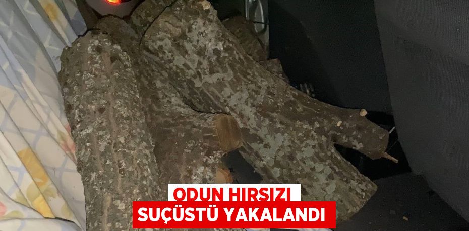 ODUN HIRSIZI SUÇÜSTÜ YAKALANDI