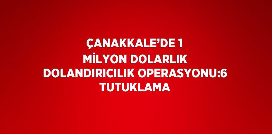 ÇANAKKALE’DE 1 MİLYON DOLARLIK DOLANDIRICILIK OPERASYONU:6 TUTUKLAMA