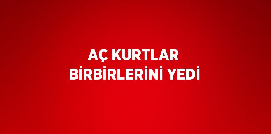 AÇ KURTLAR BİRBİRLERİNİ YEDİ