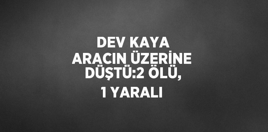 DEV KAYA ARACIN ÜZERİNE DÜŞTÜ:2 ÖLÜ, 1 YARALI