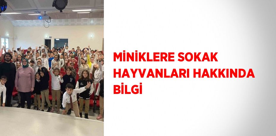 MİNİKLERE SOKAK HAYVANLARI HAKKINDA BİLGİ