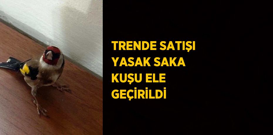 TRENDE SATIŞI YASAK SAKA KUŞU ELE GEÇİRİLDİ